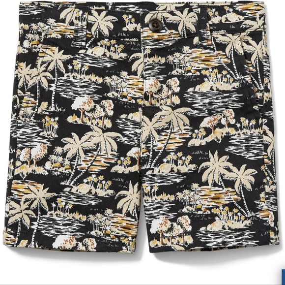 Janie and Jack 3 piece Tropical Twill Short Outfit T-Shirt & Hat Black 3-6 Month - Picture 2 of 11